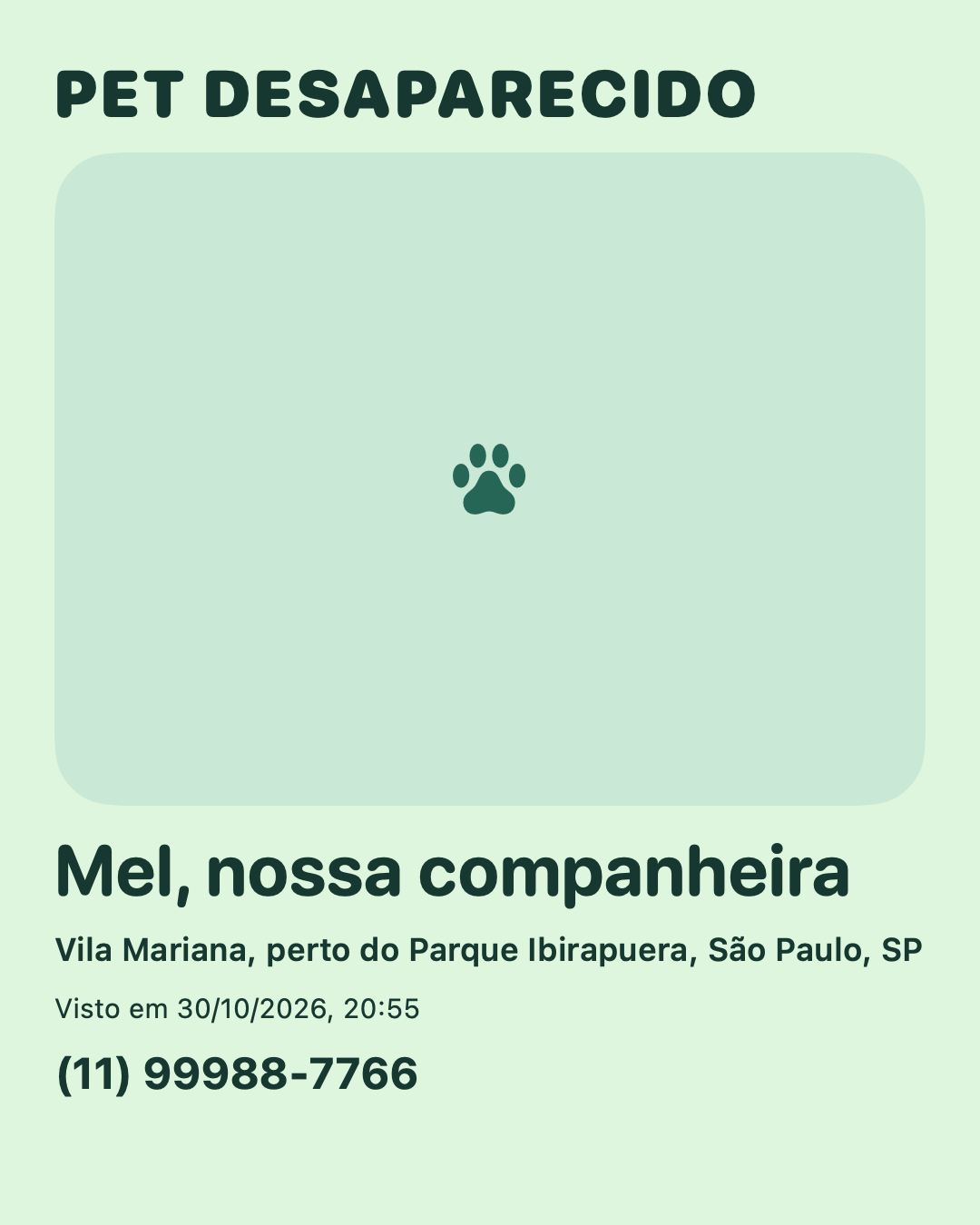 Cartaz de pet desaparecido em formato feed